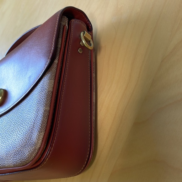 Cassie - Picture 3 of 9